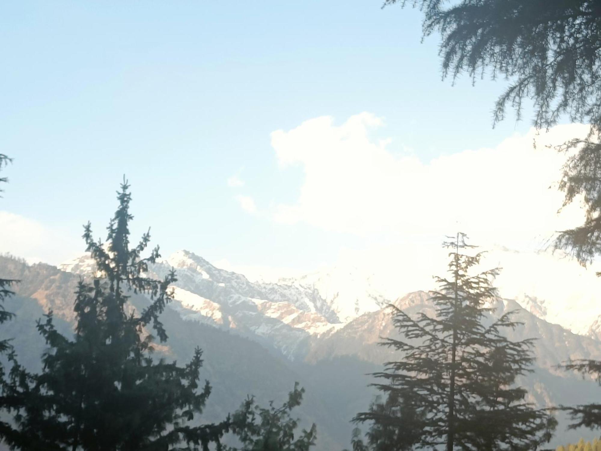Trimounts-A Boutique Hotel & Wellnes Center In Tirthan Valley Banjār Exterior foto