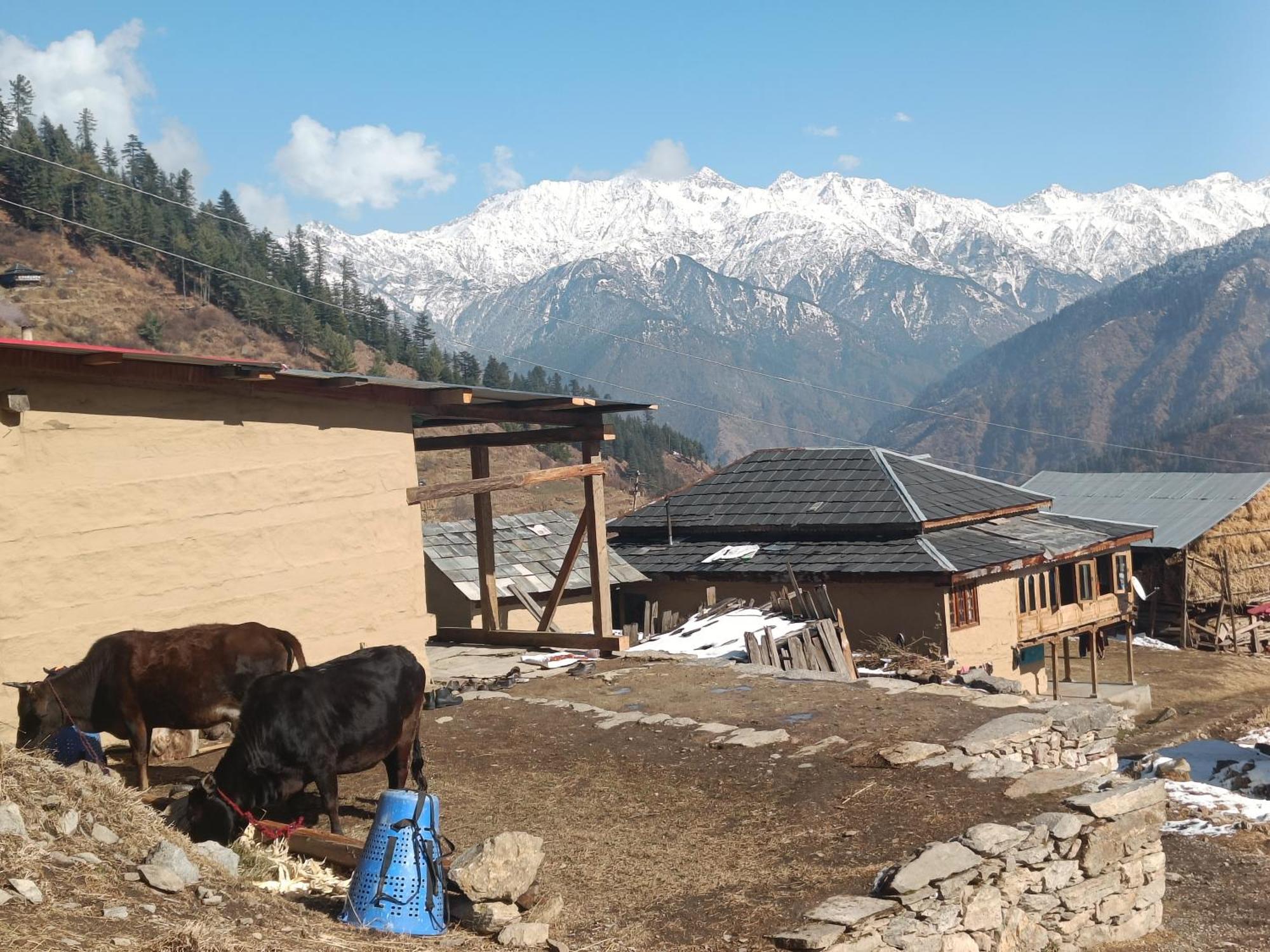 Trimounts-A Boutique Hotel & Wellnes Center In Tirthan Valley Banjār Exterior foto