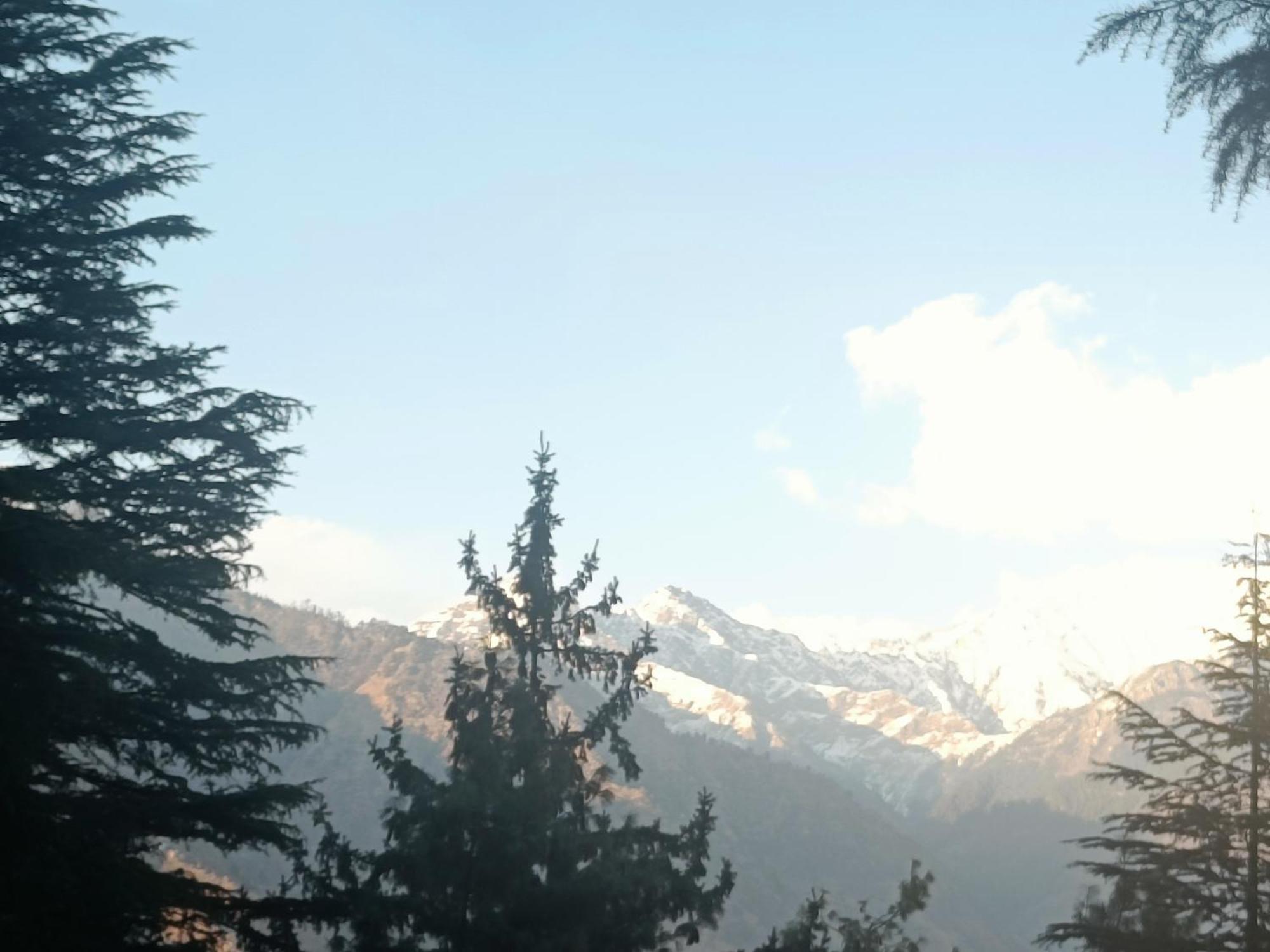 Trimounts-A Boutique Hotel & Wellnes Center In Tirthan Valley Banjār Exterior foto